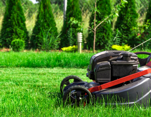 Koszenie trawnika
