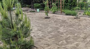 WhatsApp Image 2026-03-10 at 09.58.55a