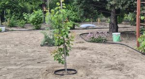 WhatsApp Image 2026-03-10 at 09.58.55e